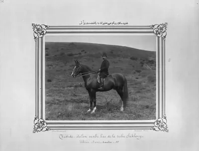 [The nine year old bay horse of Arabian origin named Sedid Saklavi] / Constantinople, Abdullah Frères.