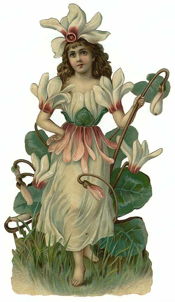 Girl in cyclamen flower costume, die-cut fairy scrap — historic image