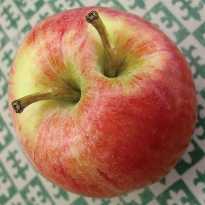 Red and yellow apple on green patterned cloth