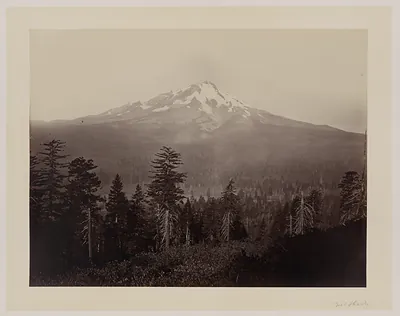 Snow-capped Mount Shasta above a forested valley, sepia photograph