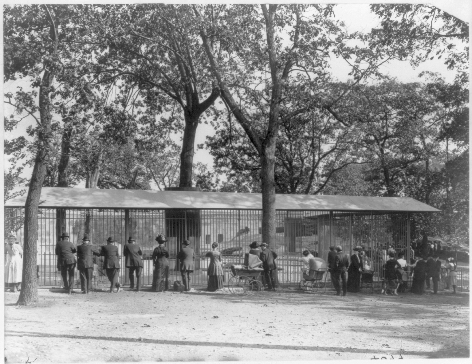 [Mass. - Boston - Franklin Park Zoo in Jamaica Plain; view of visitors looking at bear cages], c1914. — historic photograph