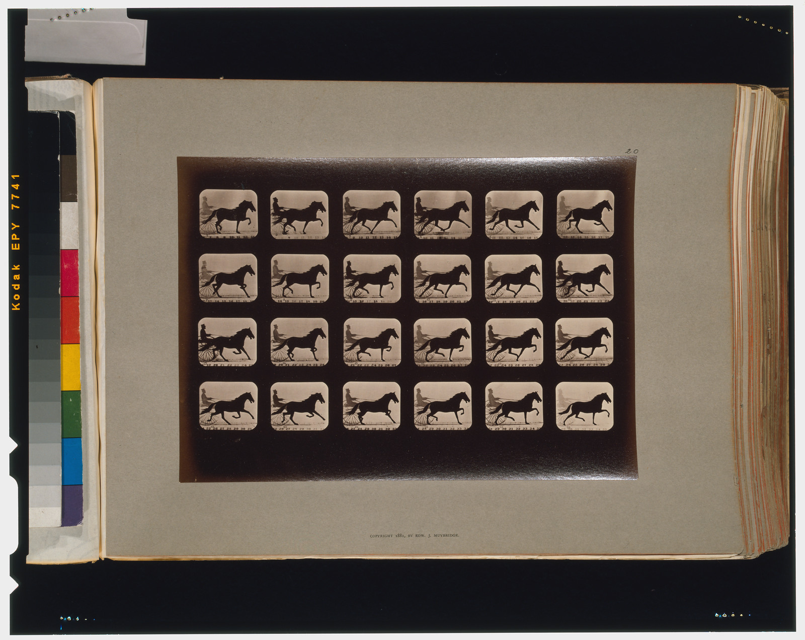 Horses. Pacing, [San Francisco] : Muybridge, c1881. — historic photograph