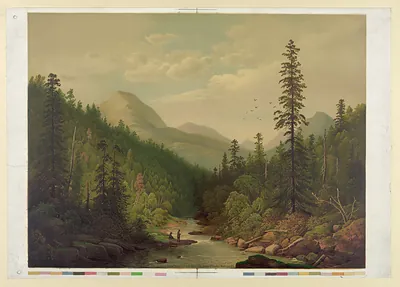 Mountain valley with river and pine forest landscape