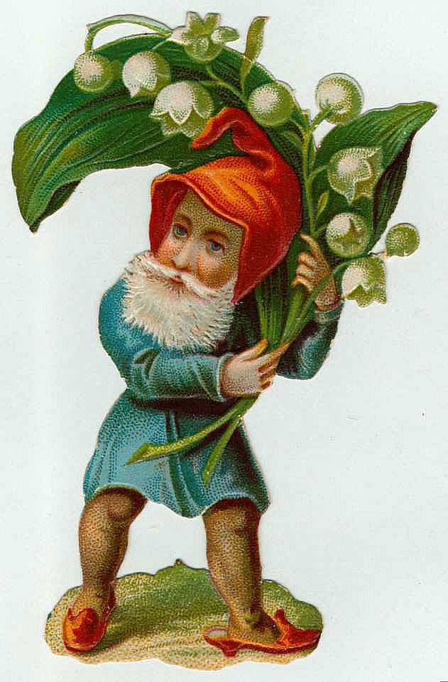 Gnome in red hood carrying lily of the valley — historic image