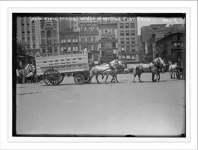 Work Horse Parade, Borden Team, winner of obstacle test, New York