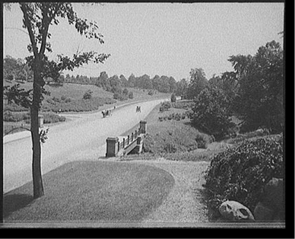 [The Boulevard, Cleveland, Ohio], [between 1900 and 1910] — historic photograph