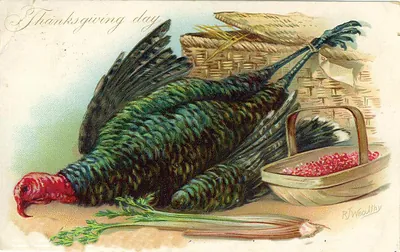 Thanksgiving day postcard with turkey, cranberries and celery