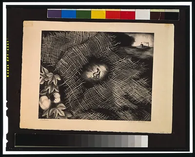 Fabric / Lamar Baker.