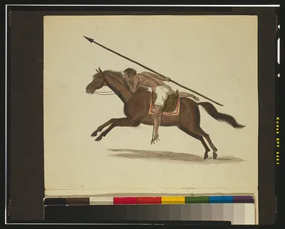 [Warrior, possibly a Colombian, on horseback, holding javelin as if about to charge]