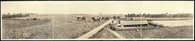 Cotton Plantation, Georgia, 1917