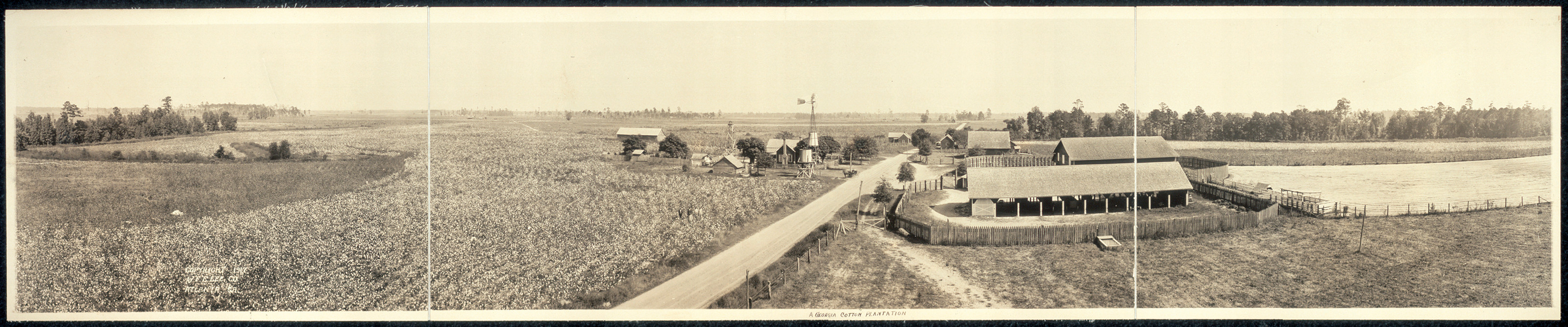 Cotton Plantation, Georgia, 1917, 1917 — historic image