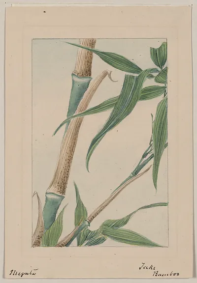 [Japanese drawing]