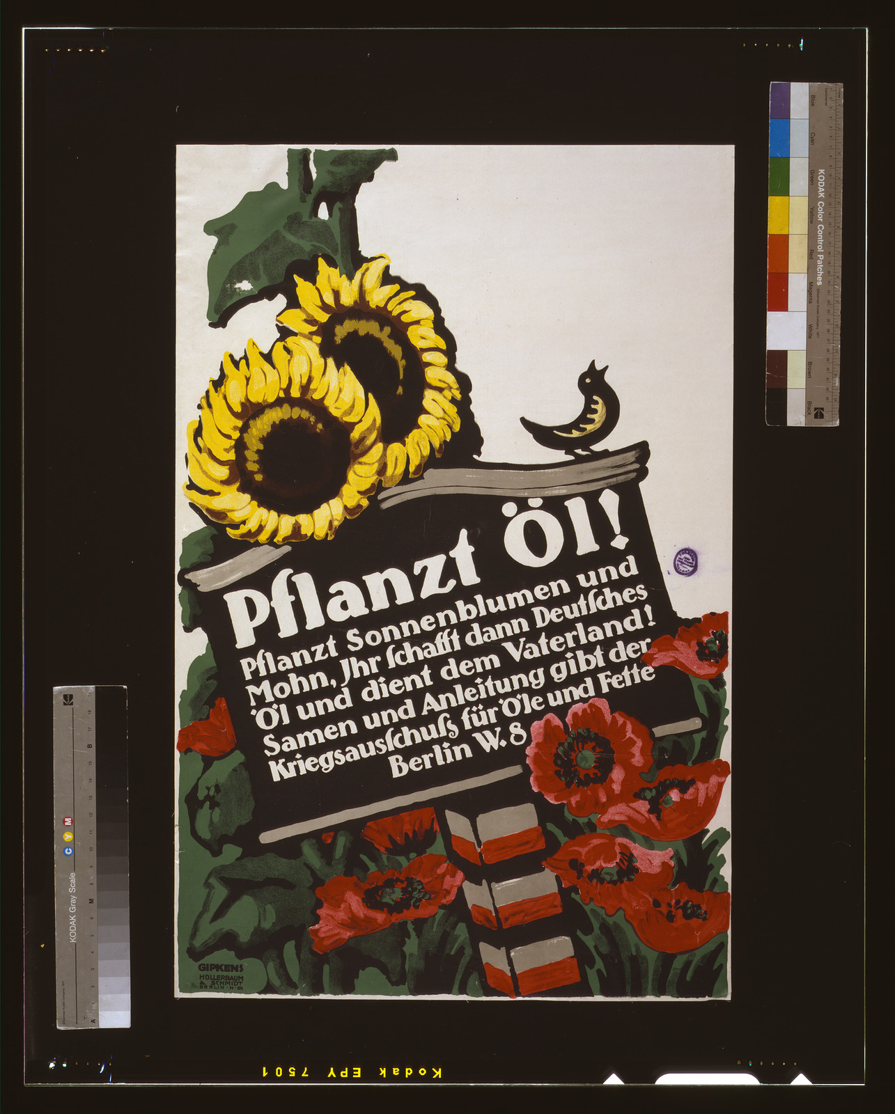 Pflanzt Oumll! Pflanzt Sonneblumen und Mohn ihr schafft dann Deutsches oumll und dient dem Vaterland! ... / Gipkens., 1916 — vintage poster