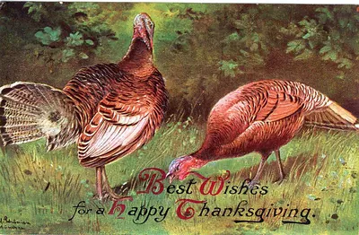 Best Wishes for a Happy Thanksgiving, with two turkeys