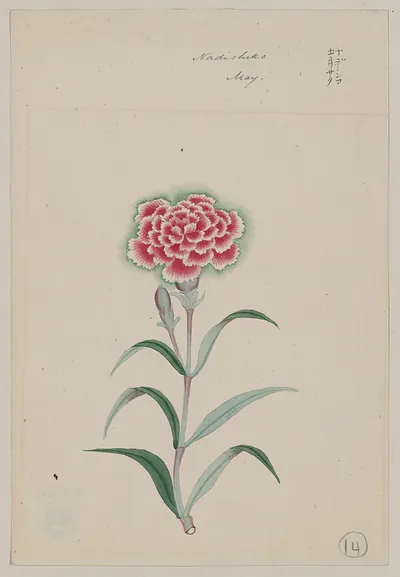 [Japanese drawing]