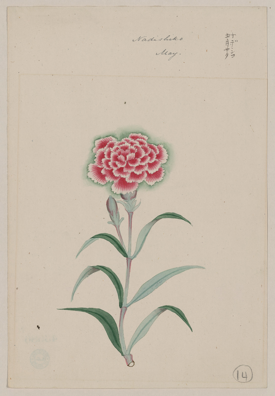 [Japanese drawing], 1750 — historic drawing