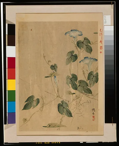 Morning glory vines in a Japanese woodblock print