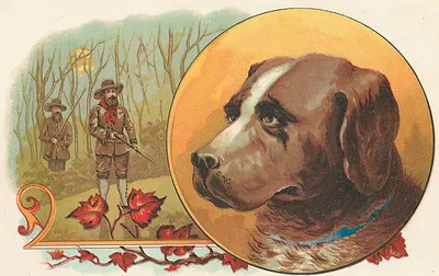 Hunters in woods with a brown and white dog portrait
