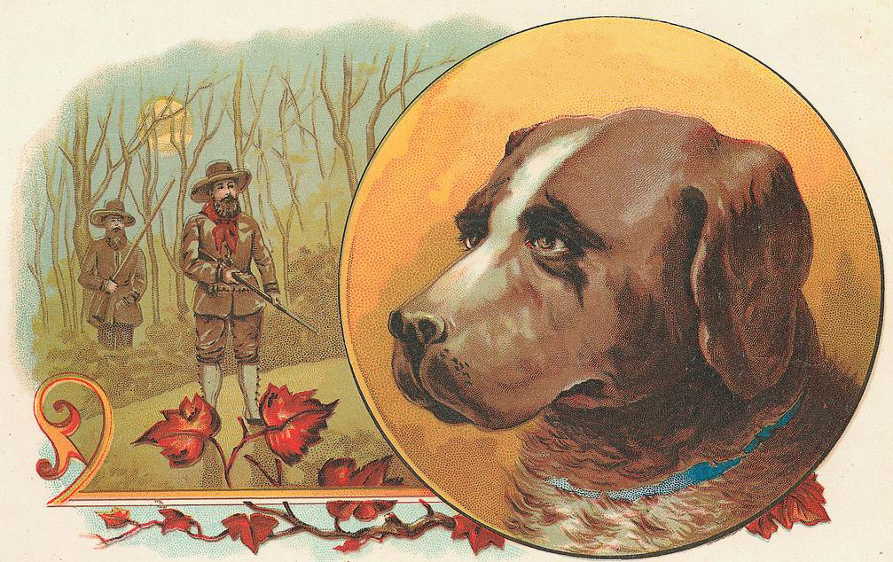 Hunters in woods with a brown and white dog portrait — historic image