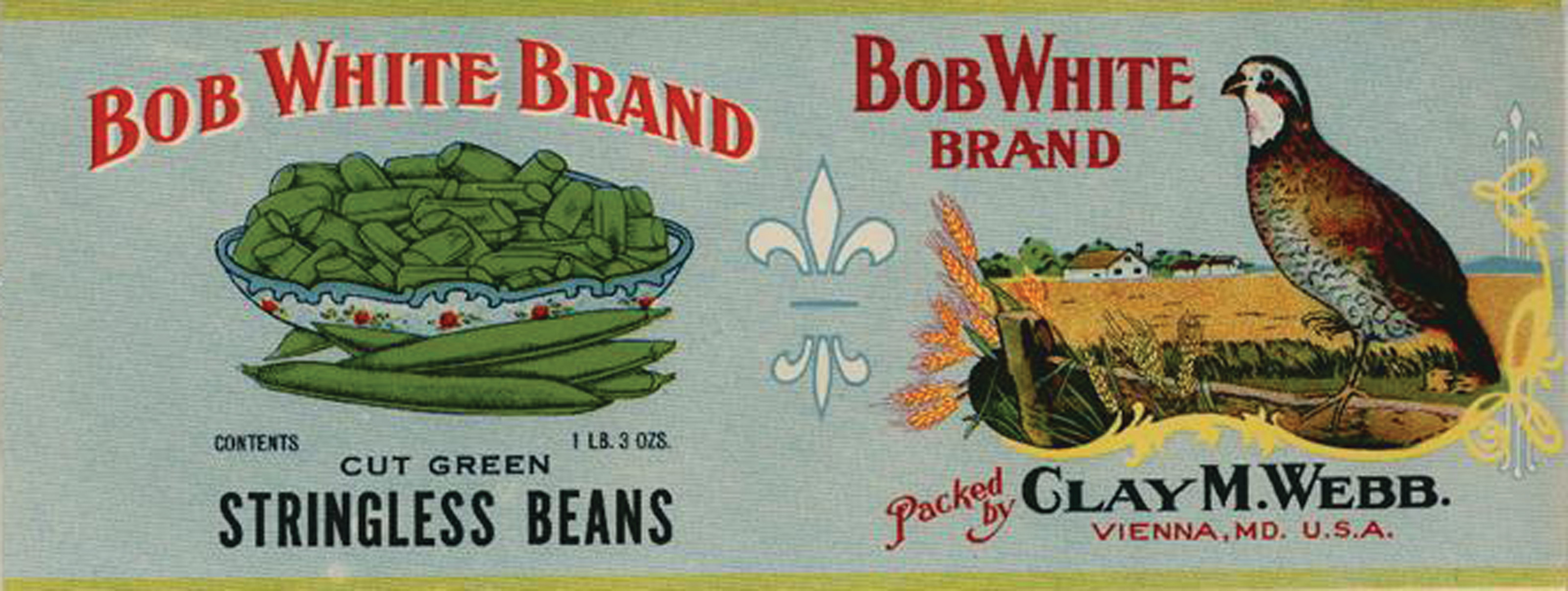 Collection of old canning and crate labels — historic image