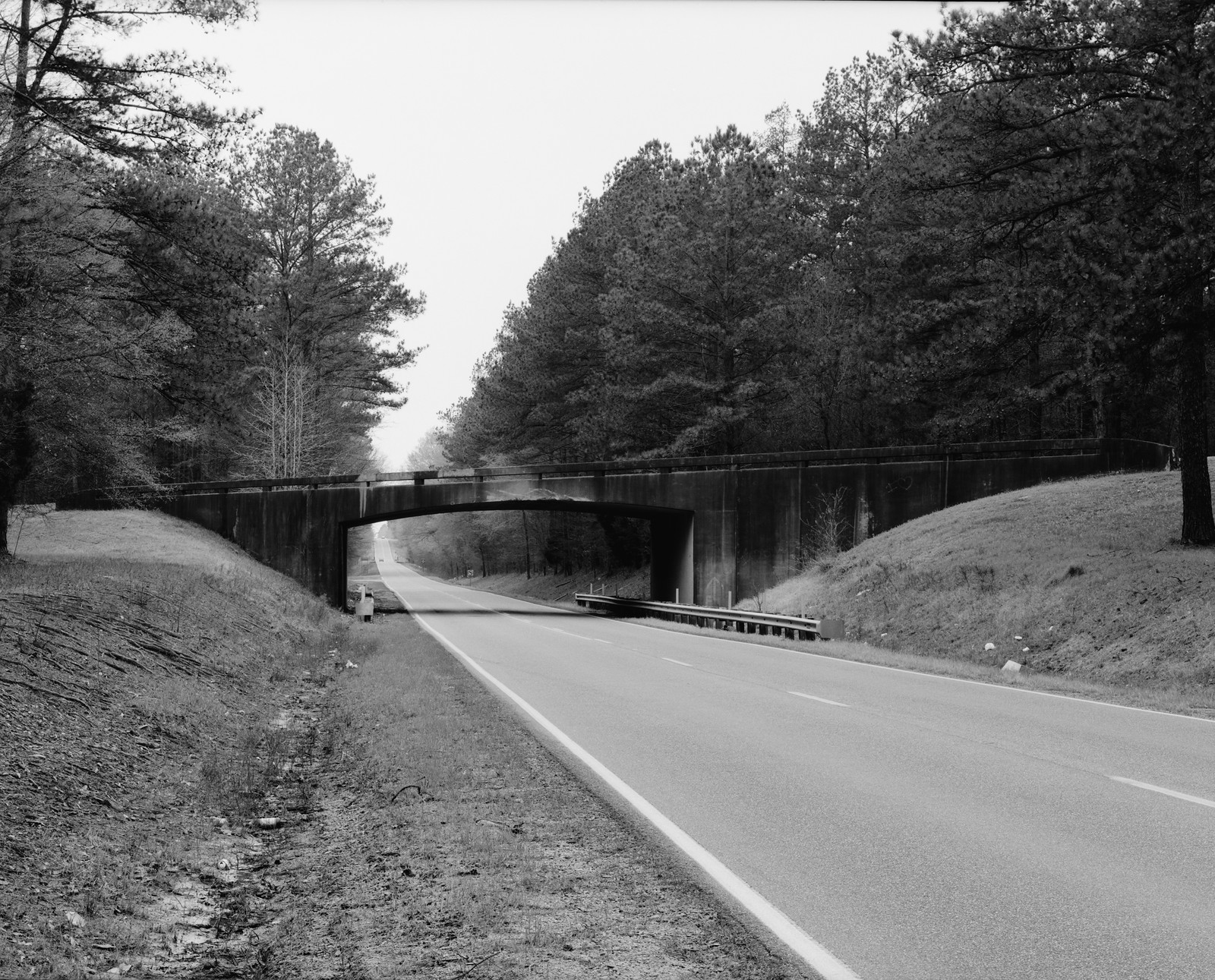 Parkway road passing under a concrete bridge through pines — historic image