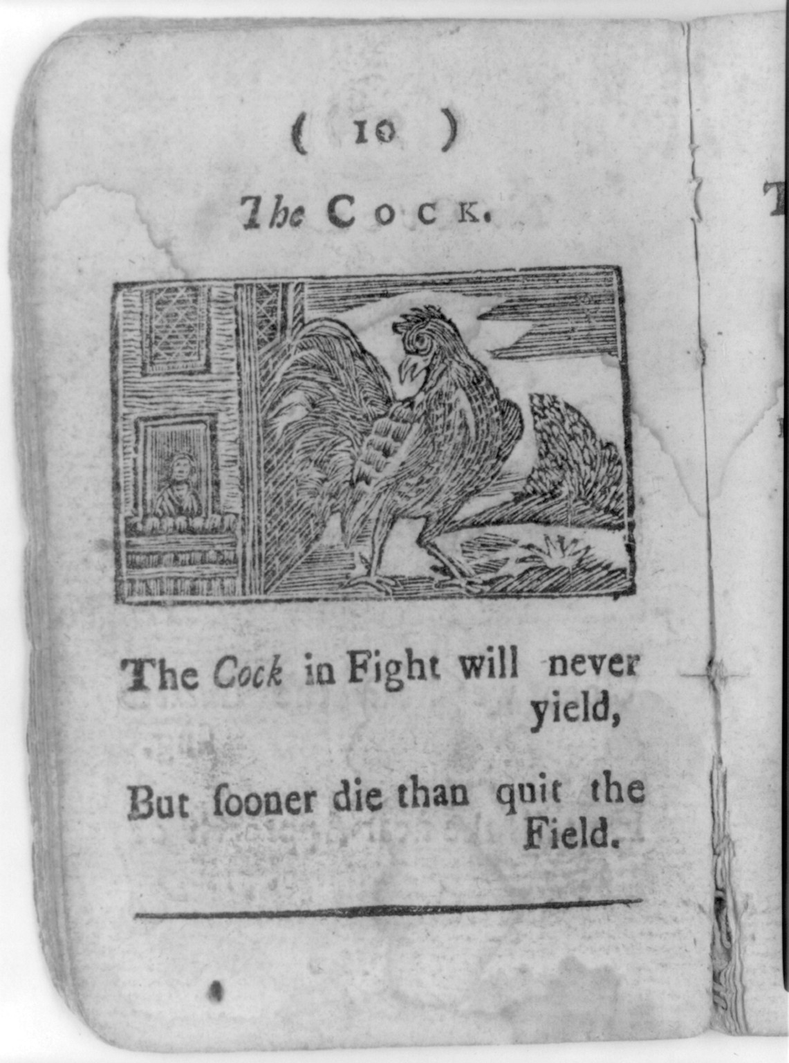 [Cock Robin's Death and Funeral (Boston, 1780): copy negatives of all ten pages: p. 10] — historic photograph