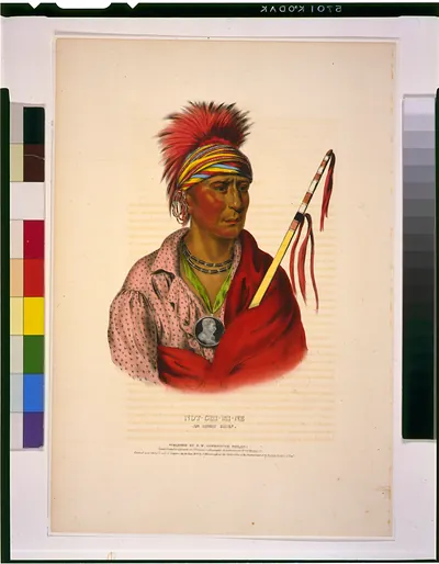 Not-Chi-Mi-Ne--An Ioway chief / drawn, printed & coloured at I.T. Bowen's Lithographic Establishment ; A.H.