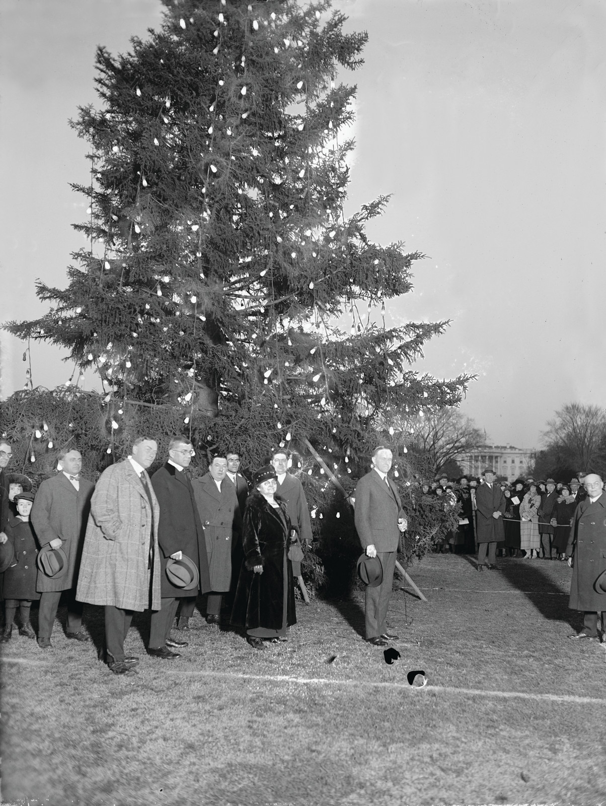 The National Christmas Tree Presented to President Coolidge by Middlebury College as a Gift from his Home State Has Been Set Up in Wash, c. 1923 — historic photograph