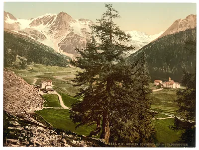 Sulden the Schontauftspitze (i.e. Schontaufspitze) and Suldenspitze Tyrol Austro-Hungary