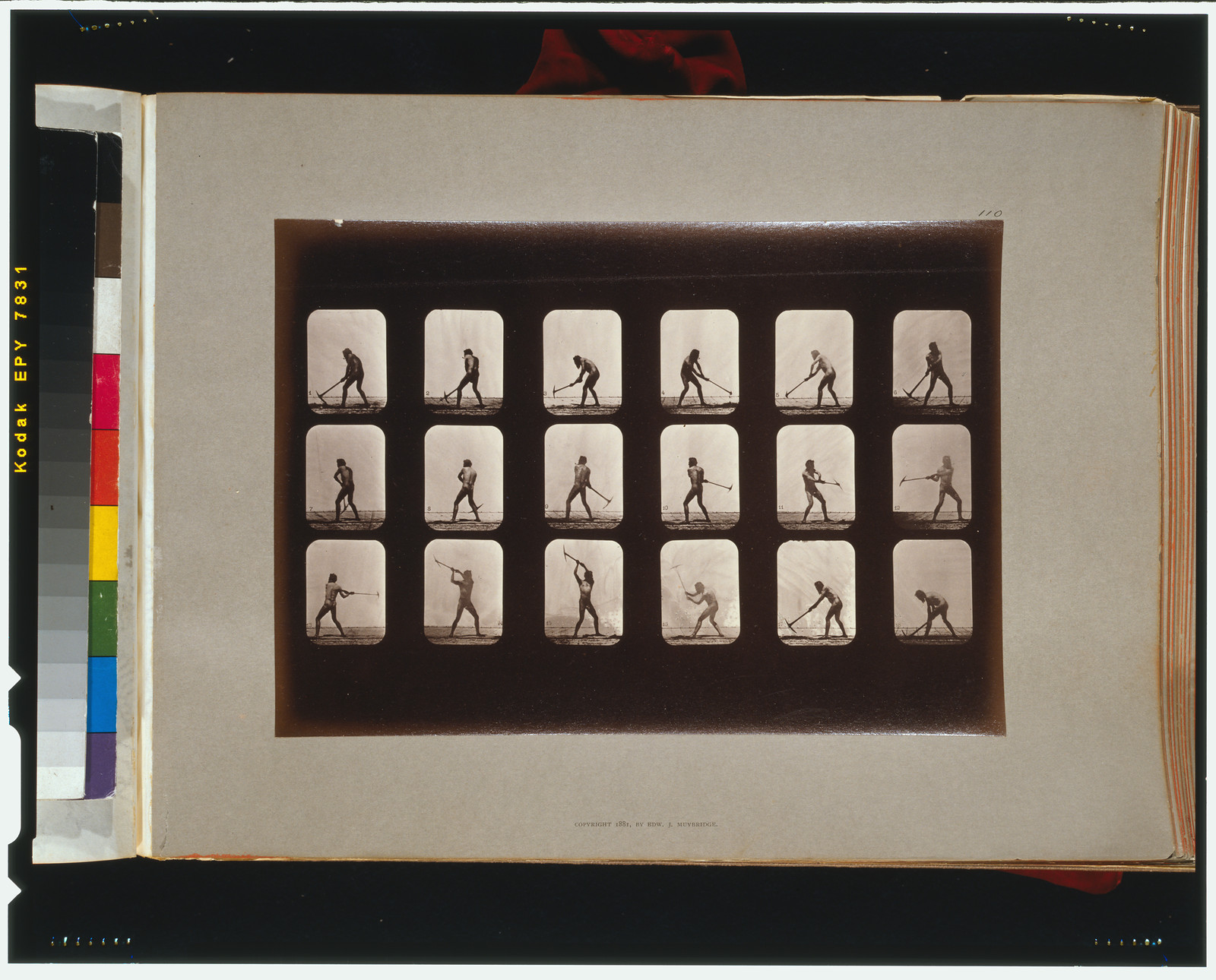 Athletes. Swinging pick, [San Francisco] : Muybridge, c1881. — historic photograph