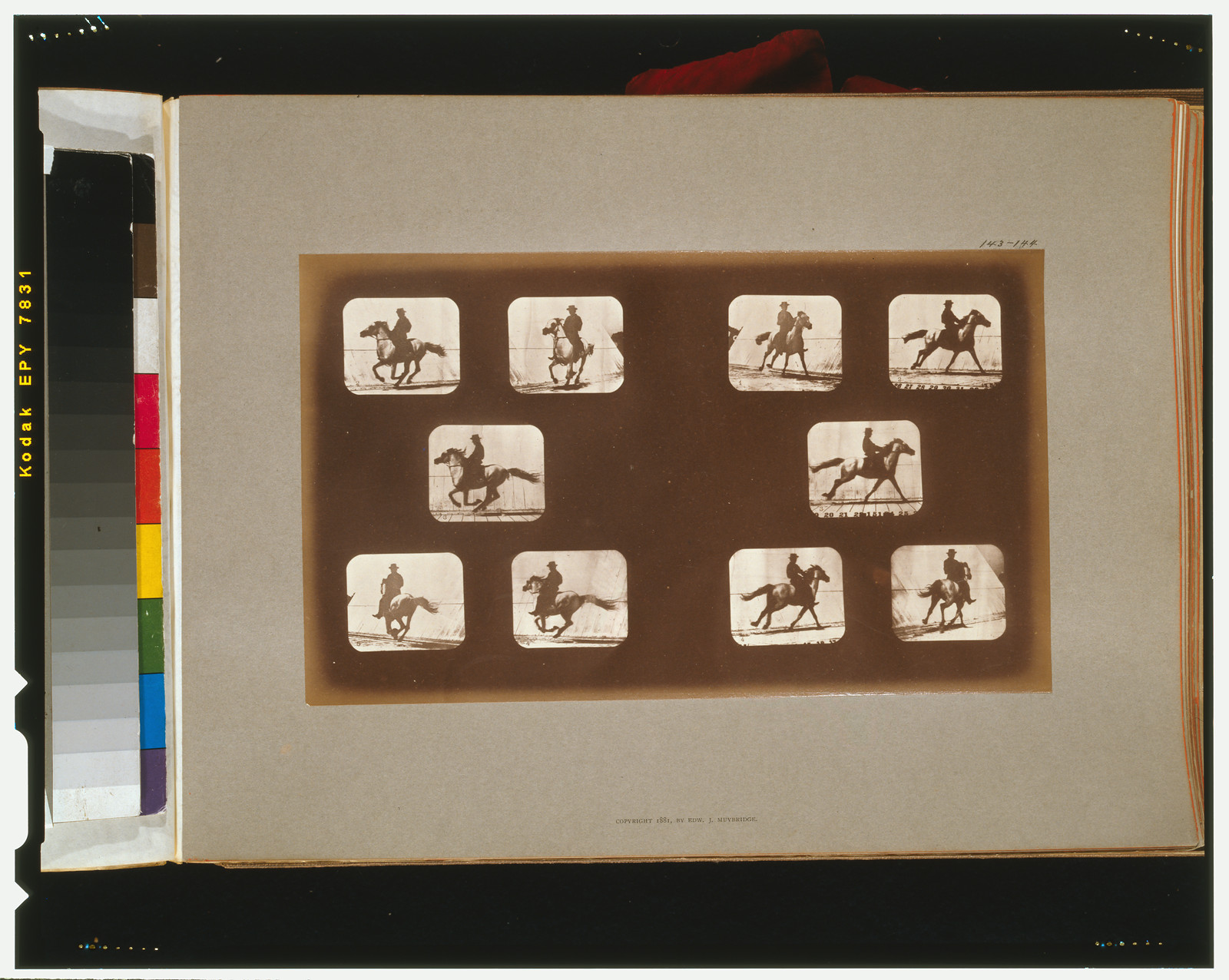 Horses. Running, [San Francisco] : Muybridge, c1881. — historic photograph