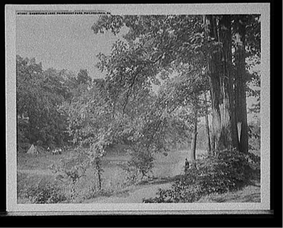 Chamounix Lake, Fairmount Park, Philadelphia, Pa.