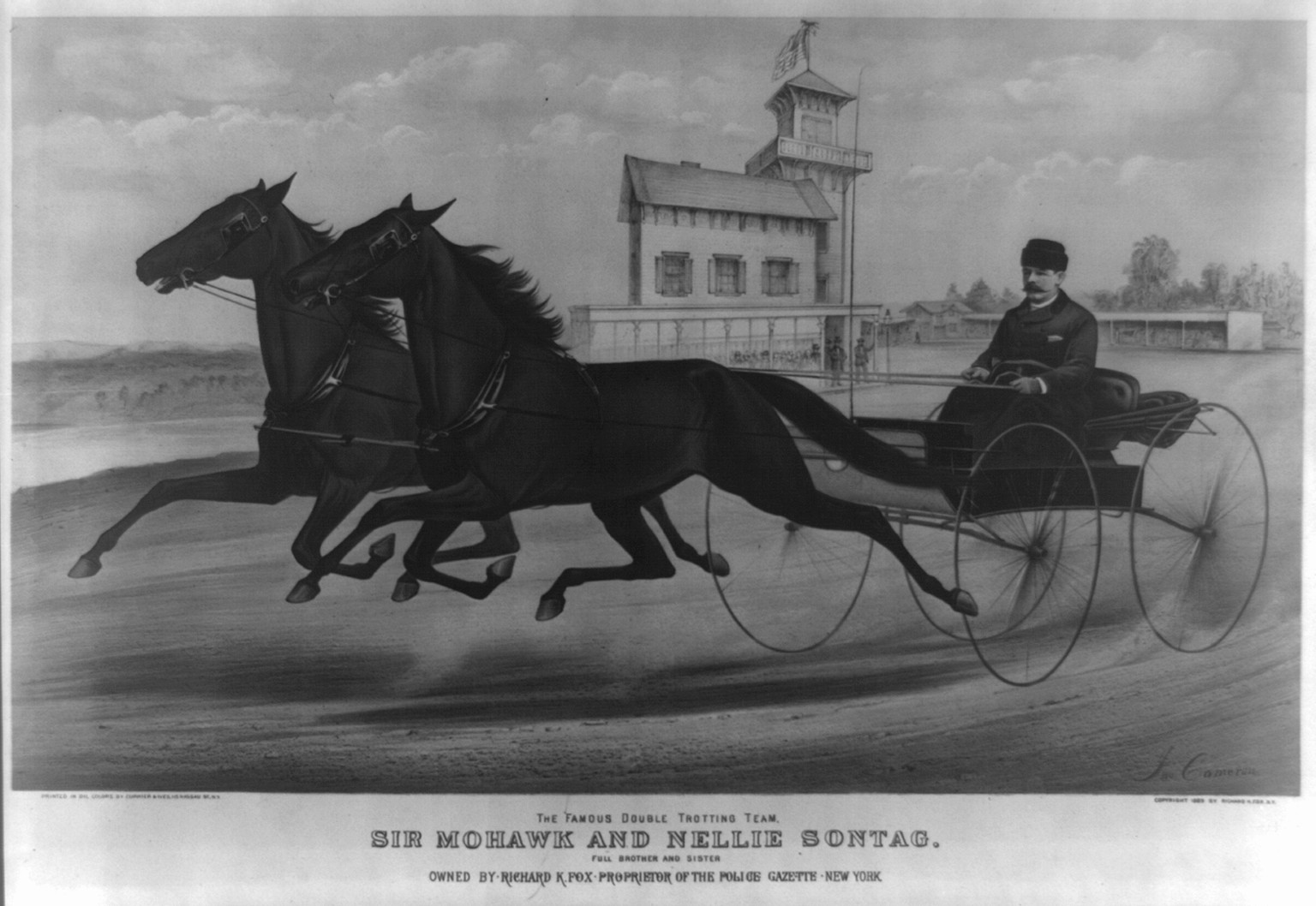 The famous double trotting team, Sir Mohawk and Nellie Sontag: full brother and sister, New York : Published by Currier & Ives, c1889. — antique lithograph
