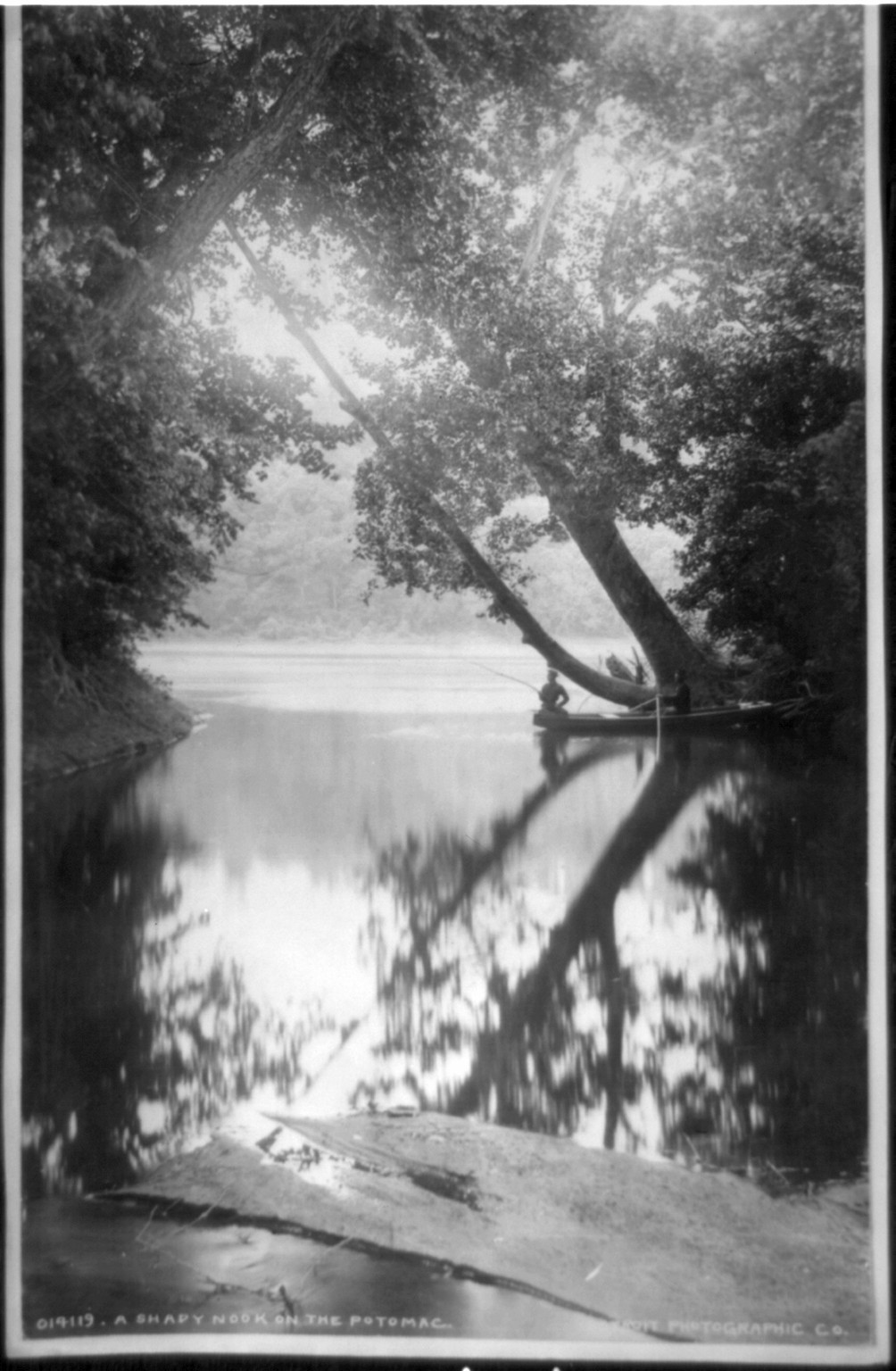 A shady nook on the Potomac, [between 1898 and 1914] — historic photograph
