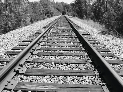 Railroad tracks receding through trees, black and white photograph
