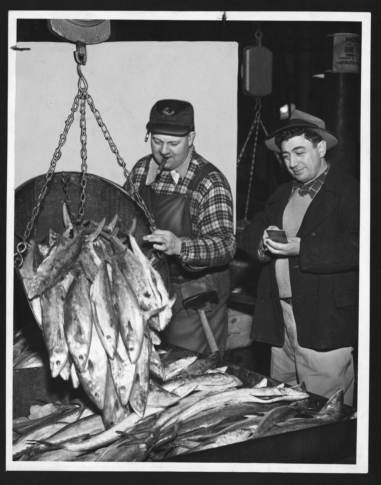 Two men weighing the day's catch of fish — historic image