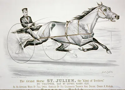 Grand horse St. Julien, the king of trotters": by Volunteer as he appears when at full speed handled by his celebrated trainer and driver Orrin A. Hickok"