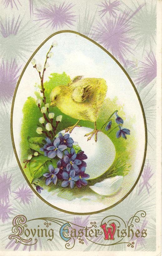 Loving Easter Wishes postcard with chick, violets and egg — vintage postcard