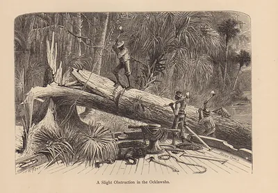 A Slight Obstruction in the Ocklawaha