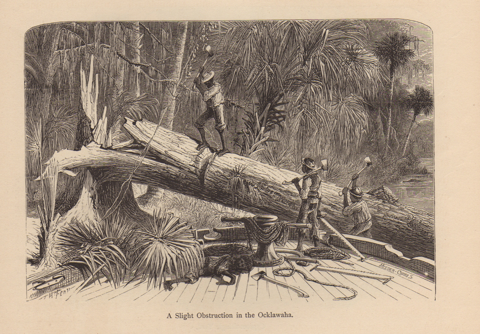 A Slight Obstruction in the Ocklawaha — historic image
