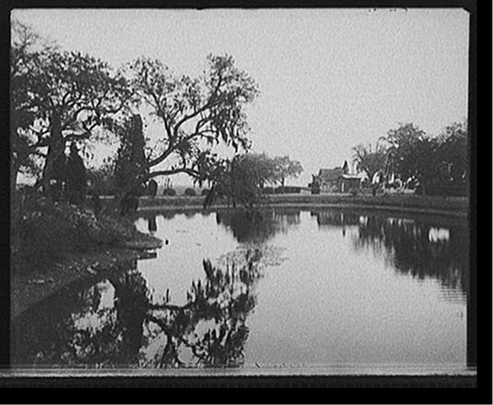 [The Upper lake, Magnolia Cemetery, Charleston, S.C.], [between 1900 and 1920] — historic photograph