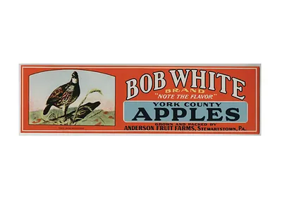 Bob White Brand York County Apples crate label