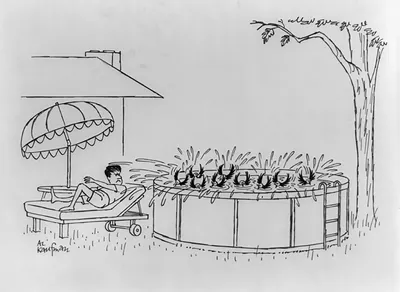 [Bird bath]
