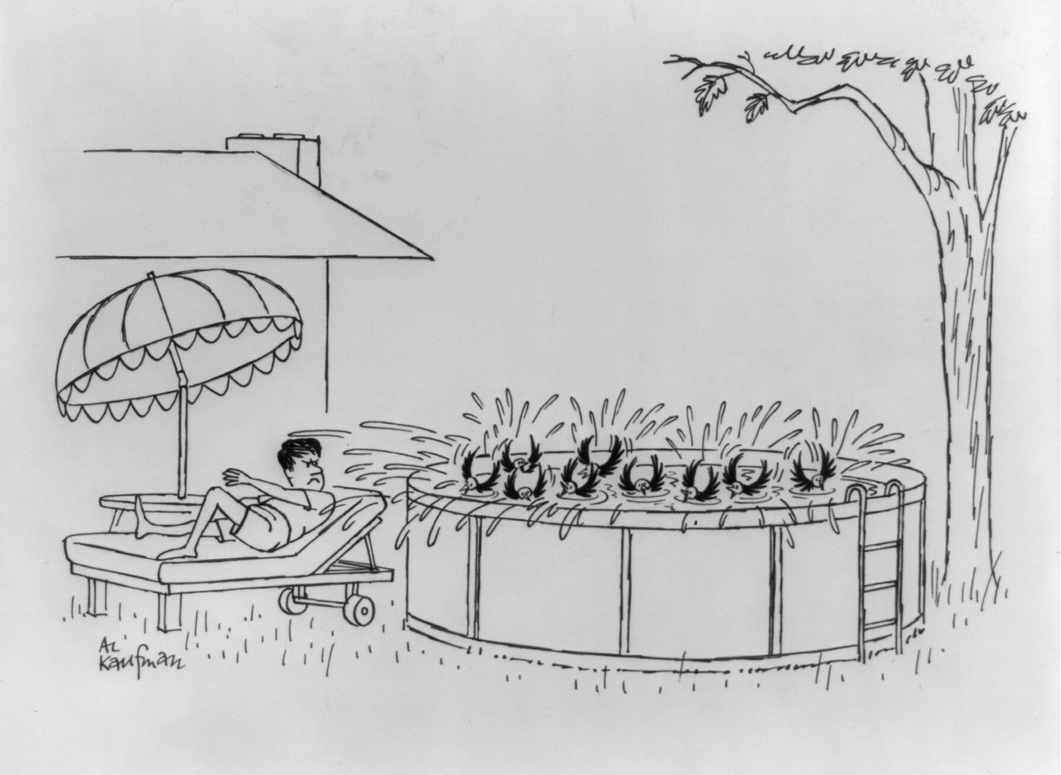 [Bird bath] — historic drawing
