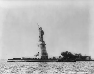 Statue of Liberty, N.Y. / J.S. Johnston, view & marine photo.