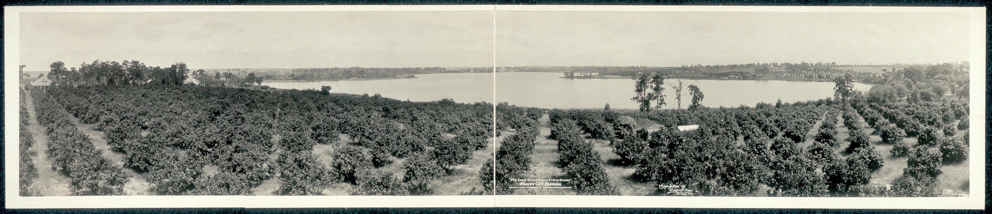 Haines City, Florida, 1919, 1919 — historic image