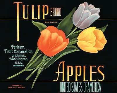 Tulip Brand Apples crate label, Perham Fruit Corporation, Yakima