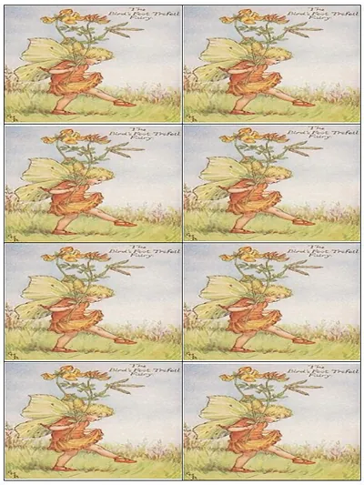 The Bird's Foot Trefoil Fairy, eight repeated label sheet