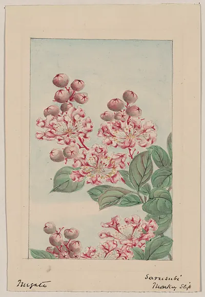 [Japanese drawing]
