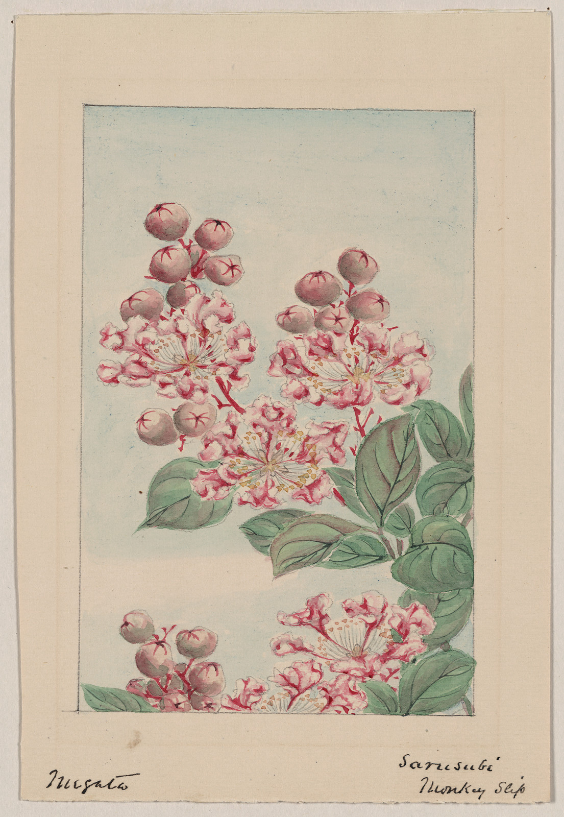 [Japanese drawing], 1750 — historic drawing